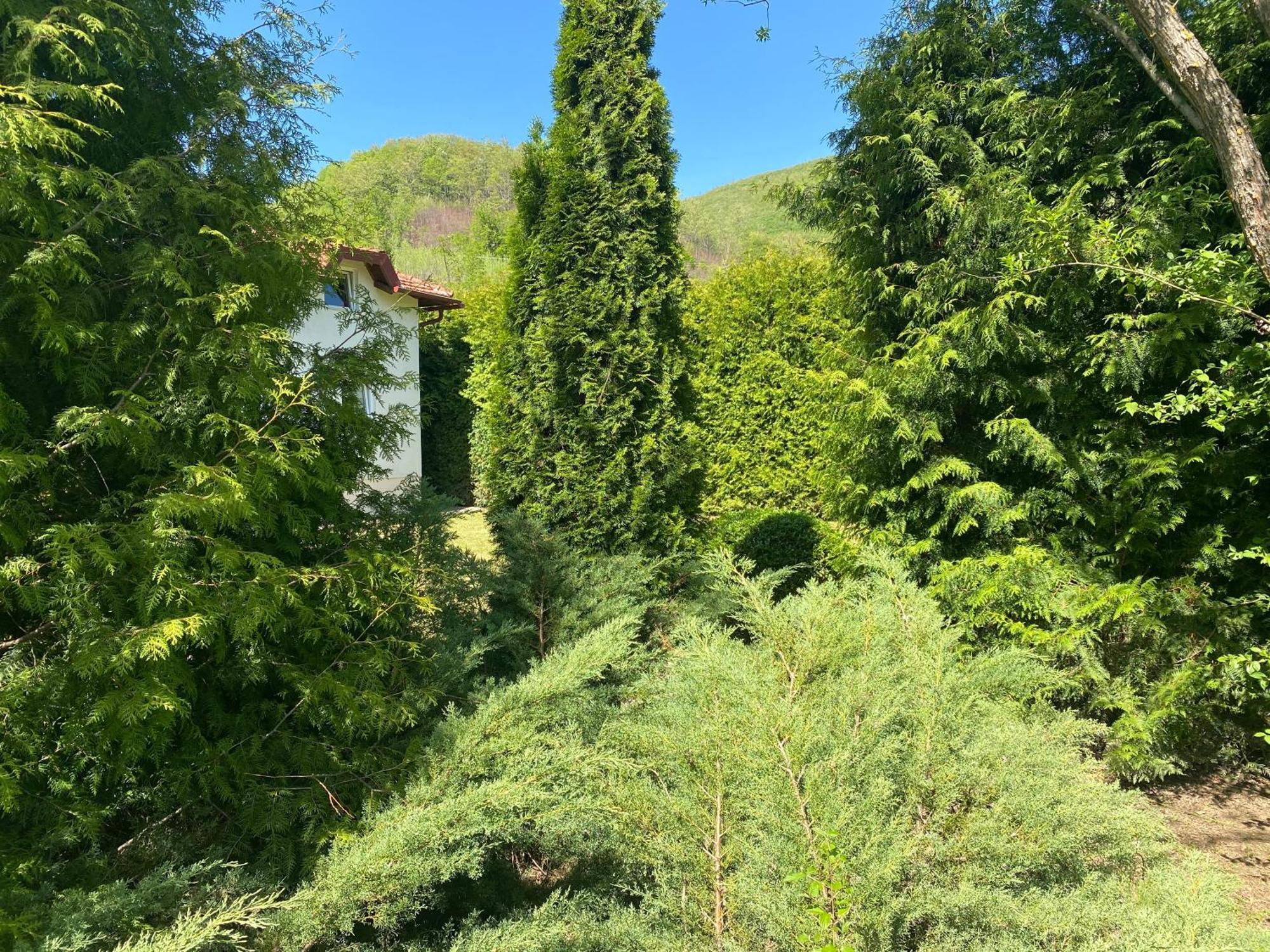 Villa Nana Kulen Vakuf Esterno foto